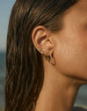 Hoop Earrings Estellar White Gold Plated