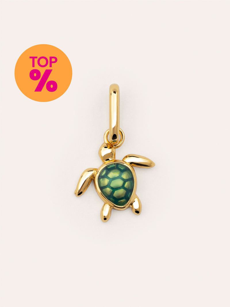 Charm Tortuga Baño Oro