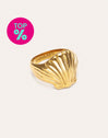 Anillo Shelly Acero Baño Oro