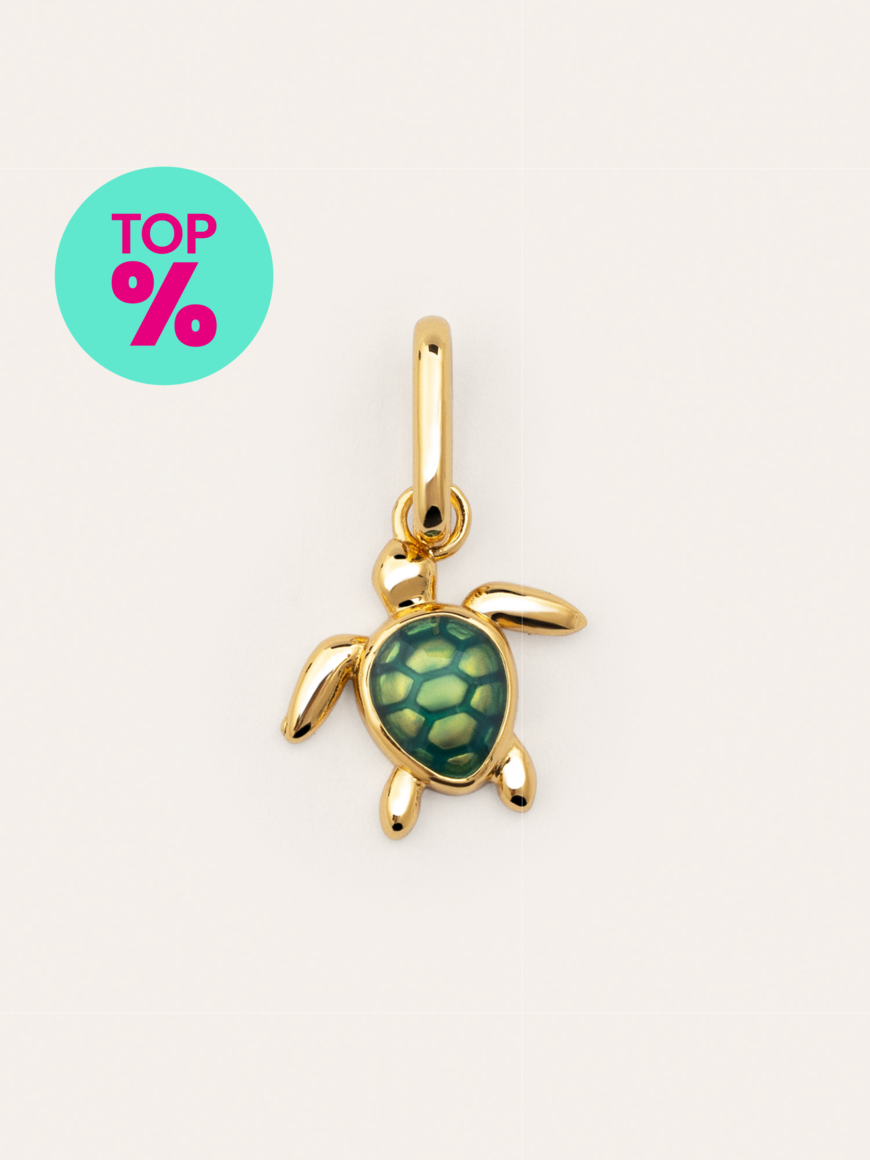 Charm Tortuga Baño Oro