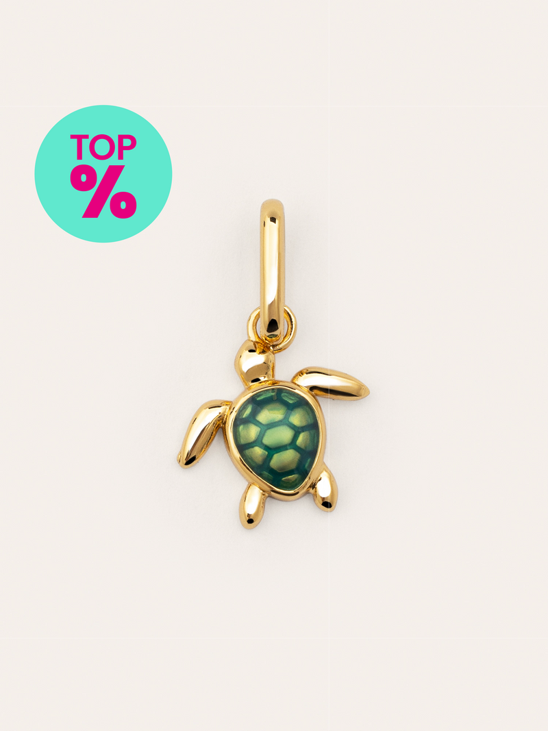 Charm Tortuga Baño Oro