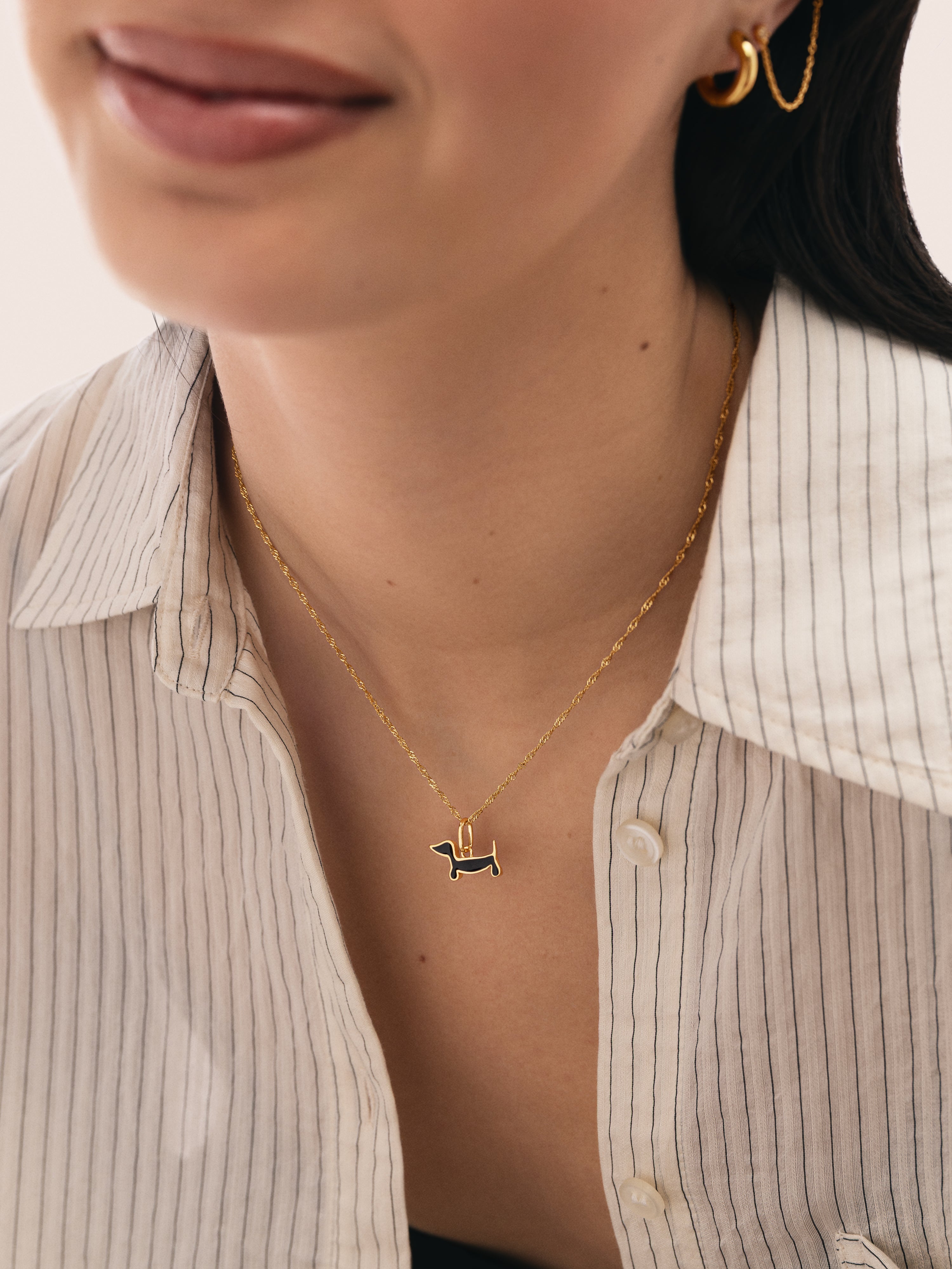 Pack Regalo Collar Mini Twist y Charm Perro Teckel Black Baño Oro