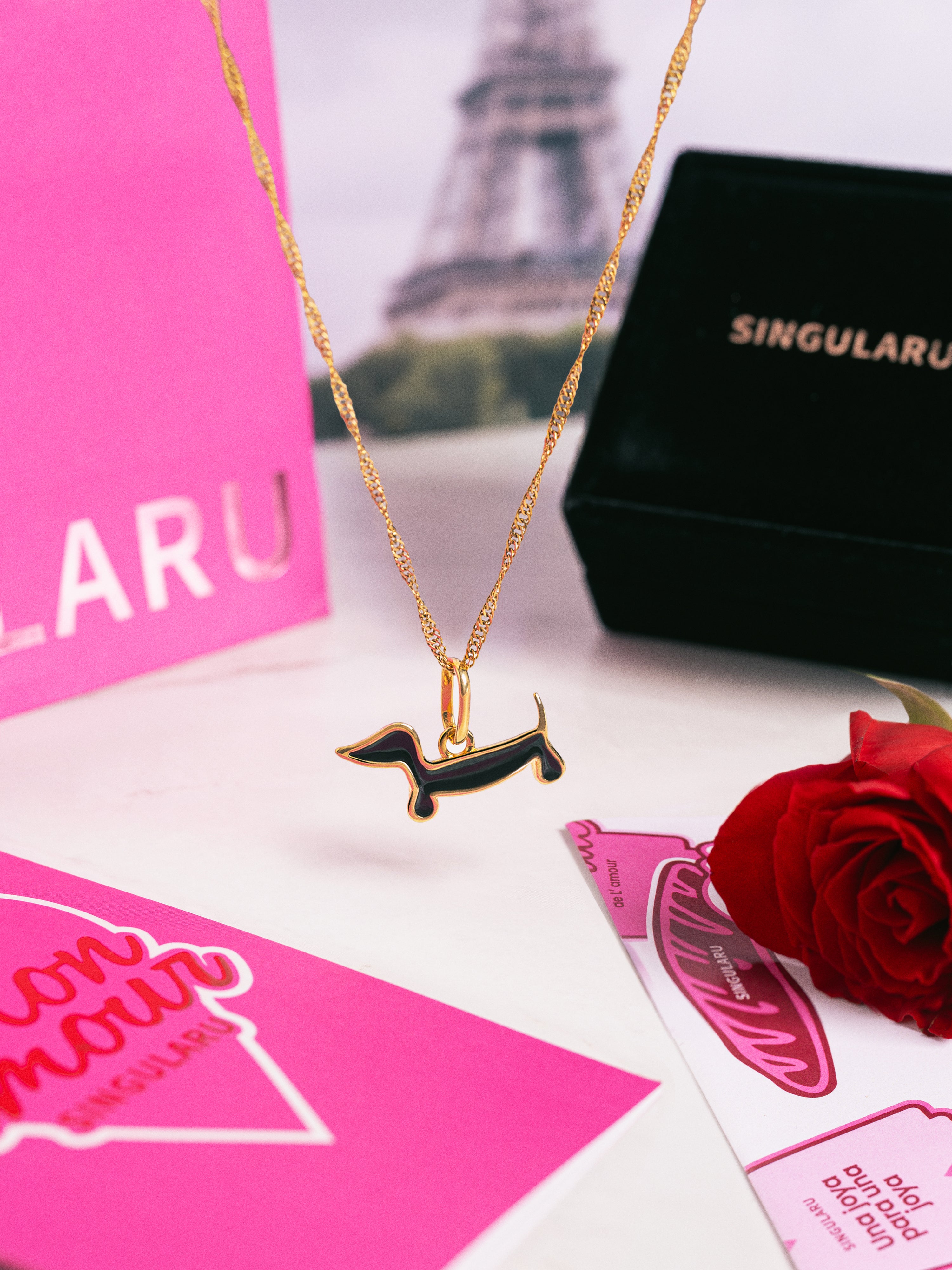 Pack Regalo Collar Mini Twist y Charm Perro Teckel Black Baño Oro