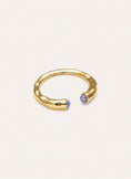 Ring Cane Kyanit vergoldet