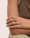 Dove-Ring Edelstahl mit 18kt Goldbeschichtung