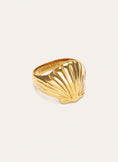 Anillo Shelly Acero Baño Oro