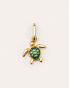 Charm Tortuga Baño Oro