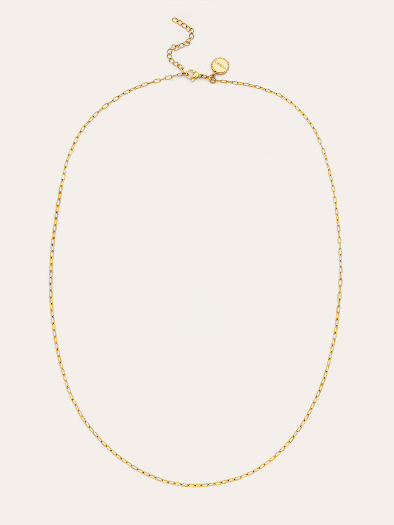 Collier Fine Chic Acier Plaqué Or