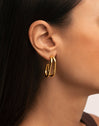 Doble Bossa Gold Hoop Earrings 