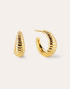 Dune Gold Hoop Earrings 