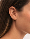 Pendientes Aro Raspberry Baño Oro