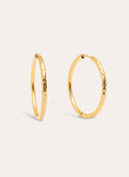 River L Stainless Steel Gold Hoop Earrings 