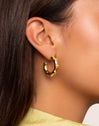 Sugarcane Stainless Steel Gold Hoop Earrings