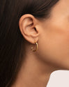 Tressia Organic Stainless Steel Gold Hoop Earrings 