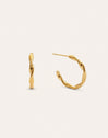 Tressia Organic Stainless Steel Gold Hoop Earrings 
