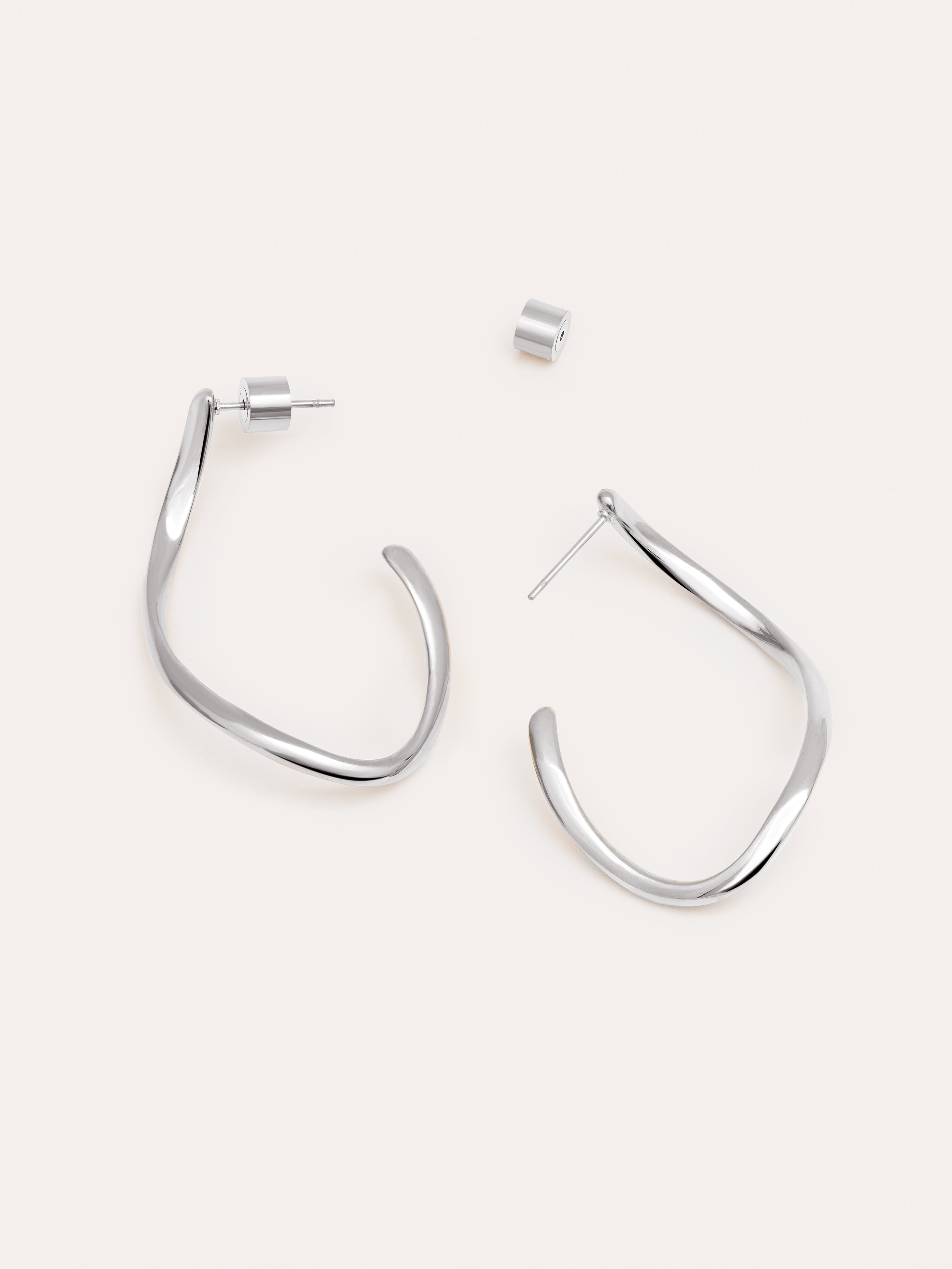 Brisa Stainless Steel Earrings 