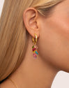 Candy Colors Gold Earrings 