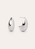 Raindrop Stainless Steel Earrings