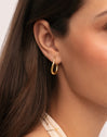 Paloma Gold-Plated Hoop Earrings