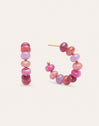 Rosé Stones Stainless Steel Gold Earrings 