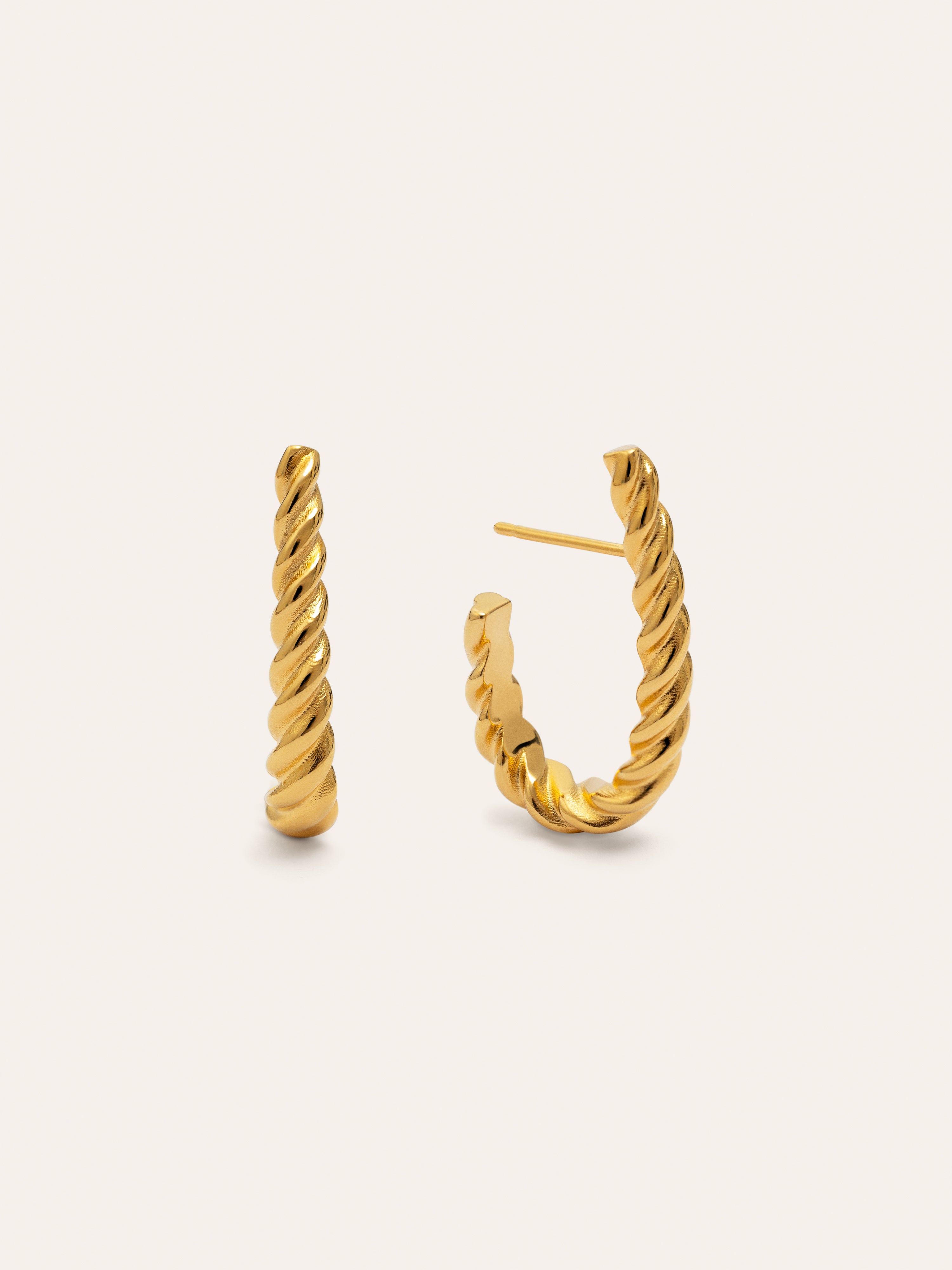 Tressia Gold Earrings 