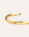 Imagen detalle de Bracciale Rigido Lizze Acciaio Placcato Oro