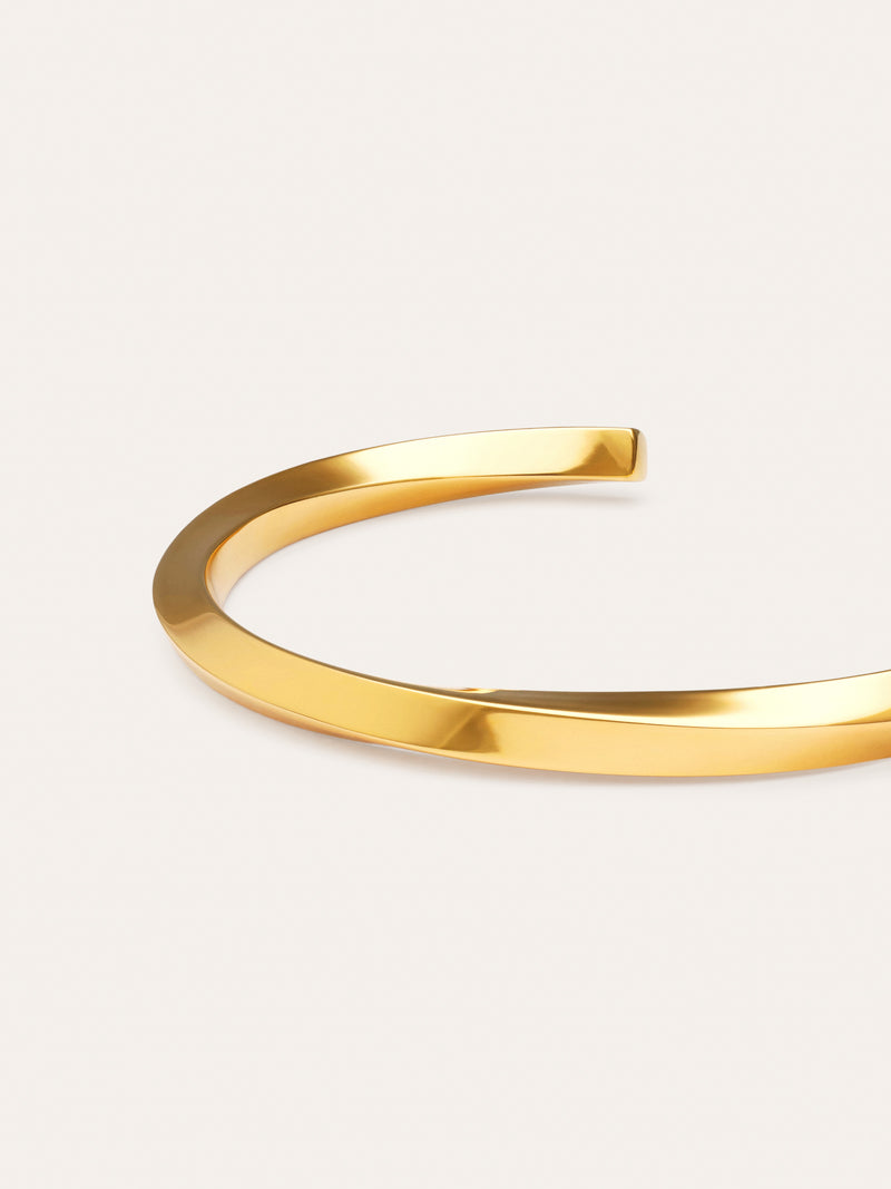 Bracciale Rigido Lizze Acciaio Placcato Oro