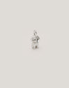 Toy Poodle Charm - vista 6