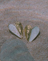 Brincos Mexilhão Esmalte Aço Banho Ouro
