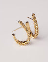 Tressia Gold Earrings 